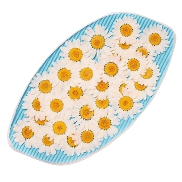 Ромашка обезвоженная Bright dreams - Светлая мечта 5 шт