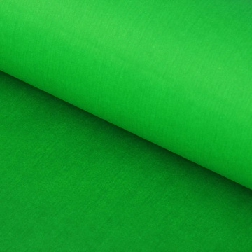 Бумага тишью 50*66 см 10 шт. зелёная 4103