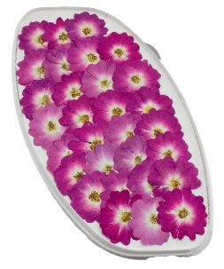 Роза обезвоженная - Пурпурный фламинго плоская 5 шт