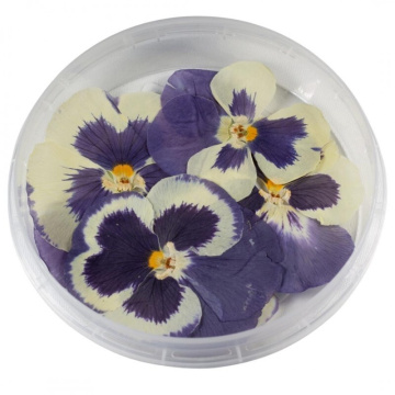 Виола обезвоженная Lilac sunset - Сиреневый закат 5 шт